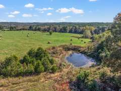 170 +/- Acres  ABSOLUTE REAL ESTATE AUCTION - 2760 Wallace Fork Rd