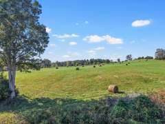 170 +/- Acres  ABSOLUTE REAL ESTATE AUCTION - 2760 Wallace Fork Rd