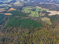 170 +/- Acres  ABSOLUTE REAL ESTATE AUCTION - 2760 Wallace Fork Rd