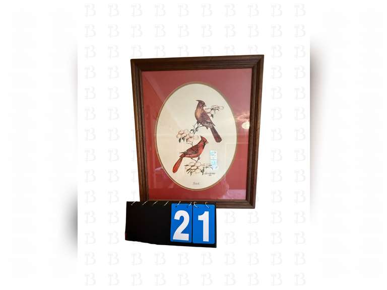 Cardinal Framed print by Gary Magliner