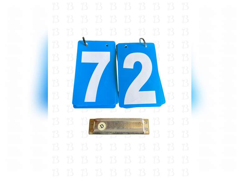 M. Hohner Marine Band Harmonica (D)