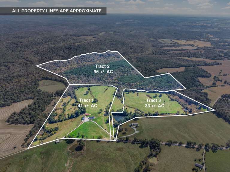 170 +/- Acres  ABSOLUTE REAL ESTATE AUCTION - 2760 Wallace Fork Rd