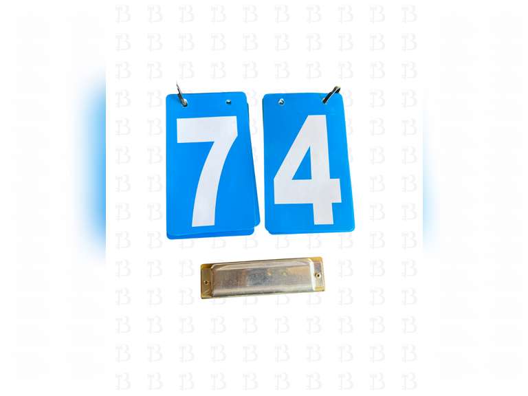 M. Hohner Blues Harp Harmonica (D)