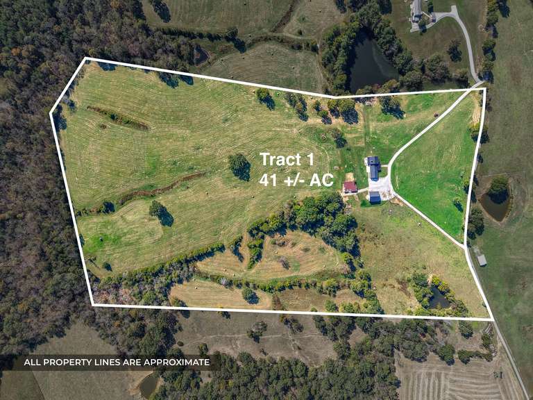 170 +/- Acres  ABSOLUTE REAL ESTATE AUCTION - 2760 Wallace Fork Rd