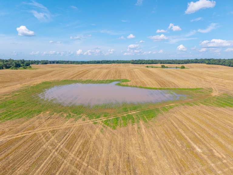 Tract 6: 57+/- Acres