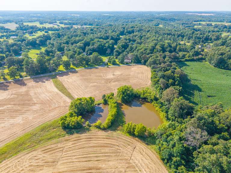 Tract 1: 5.5+/- Acres