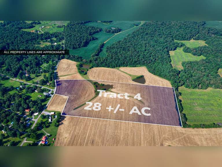Tract 4: 28+/- Acres