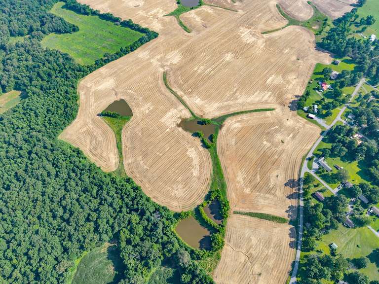 Tract 4: 28+/- Acres