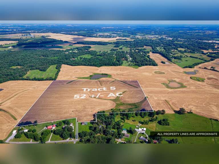 Tract 5: 52+/- Acres