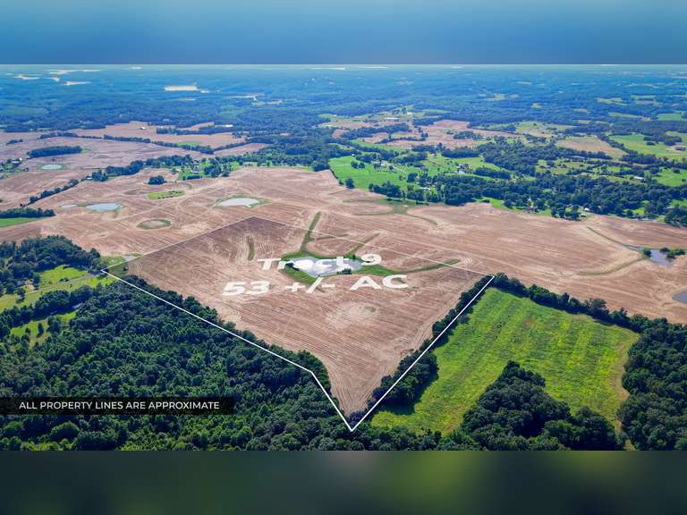 Tract 9: 53+/- Acres
