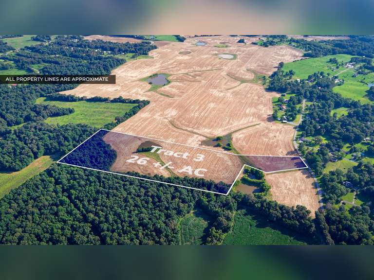 Tract 3: 26+/- Acres