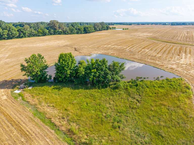 Tract 3: 26+/- Acres