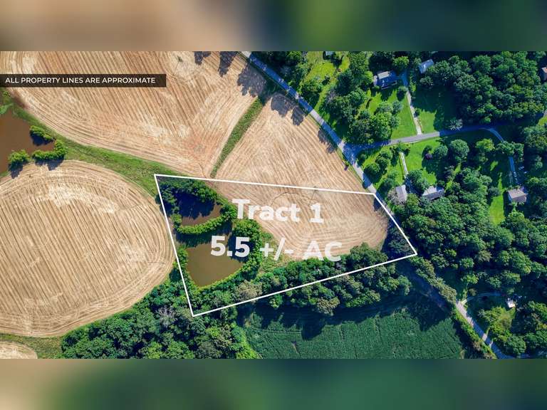 Tract 1: 5.5+/- Acres