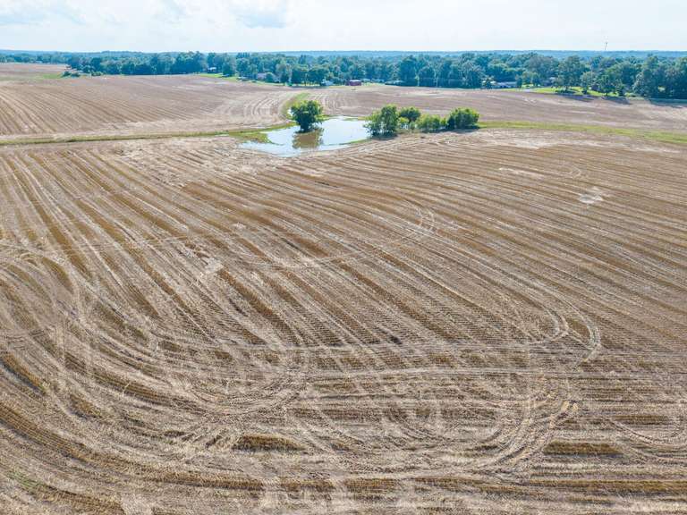Tract 4: 28+/- Acres