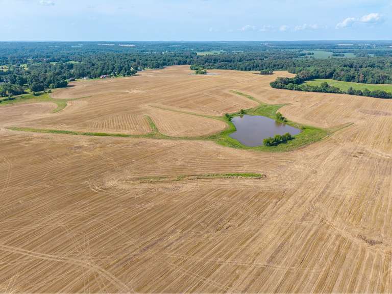 Tract 9: 53+/- Acres