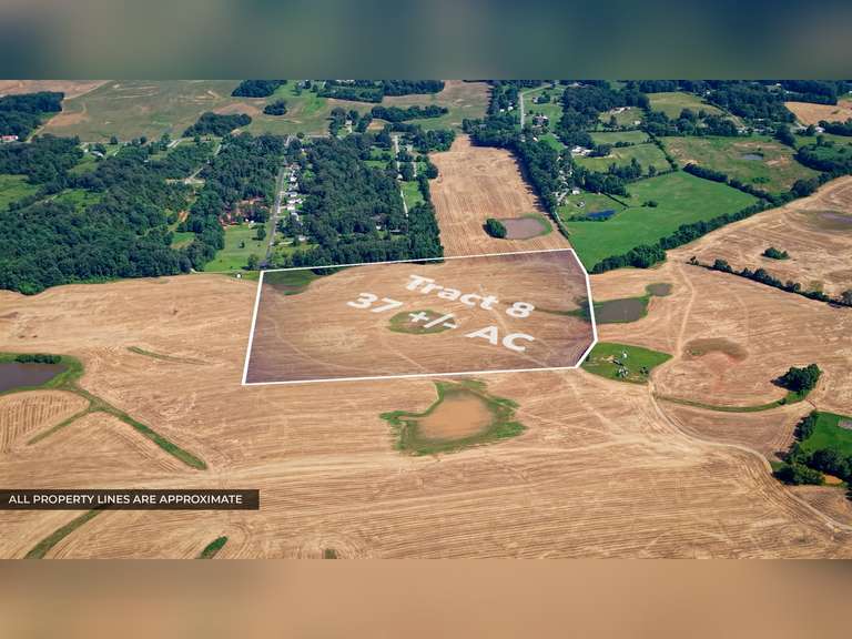Tract 8: 37+/- Acres