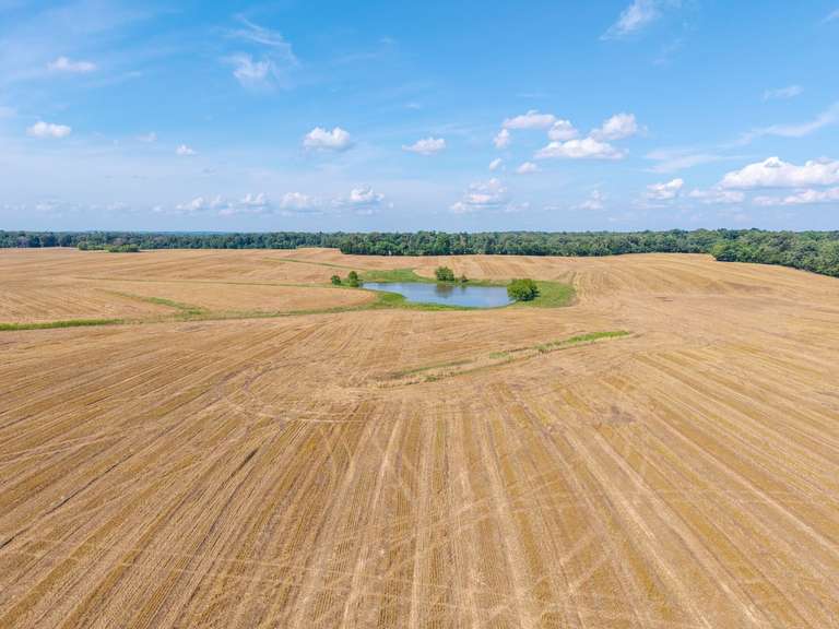 Tract 9: 53+/- Acres