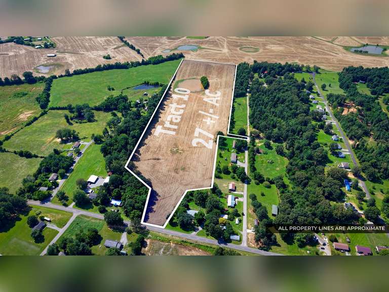 Tract 10: 26.65+/- Acres