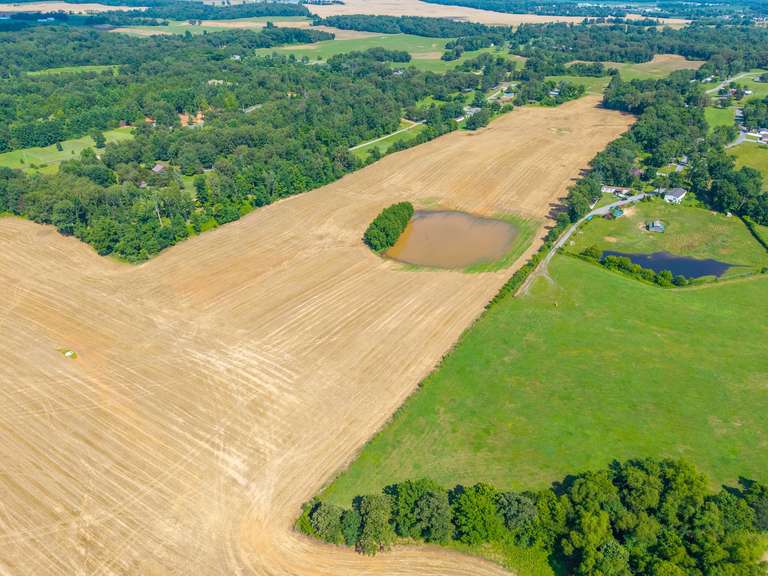Tract 10: 26.65+/- Acres