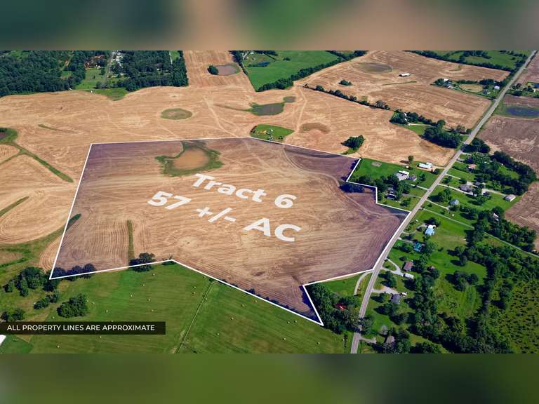 Tract 6: 57+/- Acres