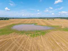 Tract 6: 57+/- Acres