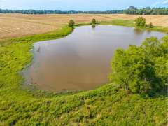 Tract 9: 53+/- Acres