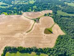 Tract 4: 28+/- Acres