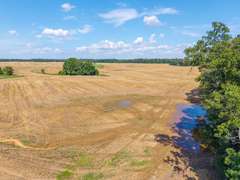 Tract 7: 30+/- Acres
