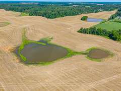 Tract 7: 30+/- Acres