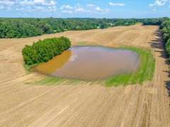 Tract 10: 26.65+/- Acres