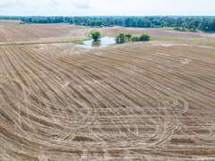 Tract 4: 28+/- Acres