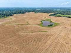 Tract 9: 53+/- Acres
