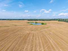 Tract 9: 53+/- Acres