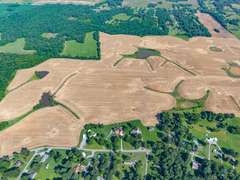 Tract 5: 52+/- Acres