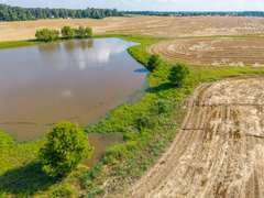 Tract 9: 53+/- Acres