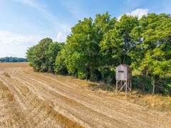 Tract 9: 53+/- Acres