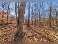 1046 E Tutt Road, Pembroke