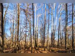 1046 E Tutt Road, Pembroke