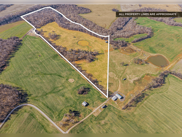 91+/- Acres in Pembroke, KY