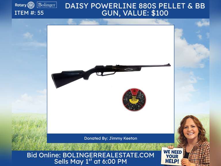 Daisy Powerline 880S Pellet and BB Gun