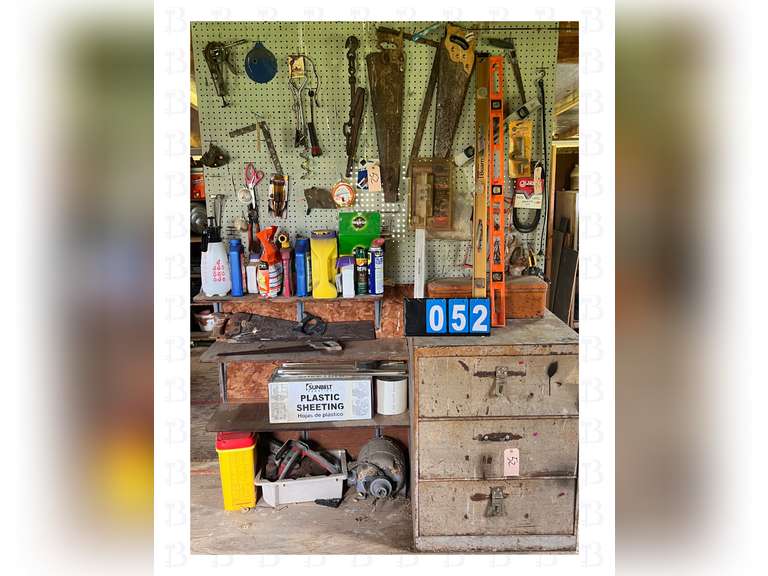 Miscellaneous tools, pesticides, and three drawer metal cabinet