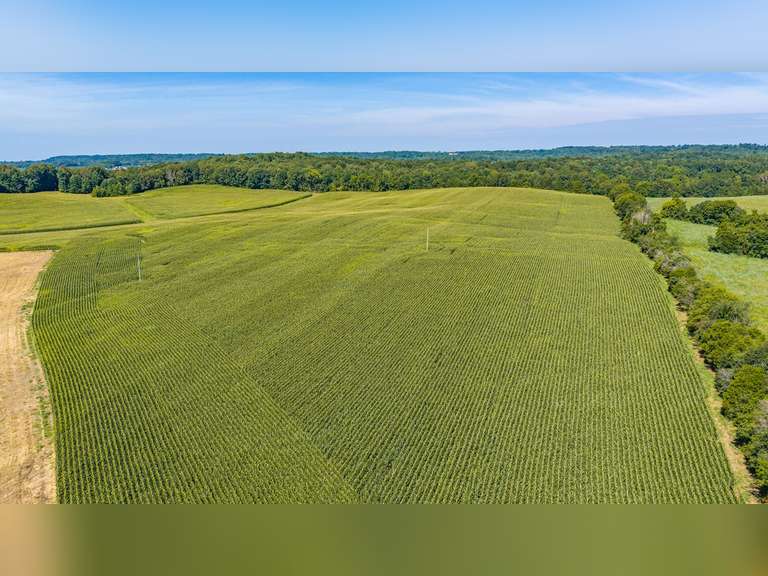 Tract 7: 41.43+/- Ac
