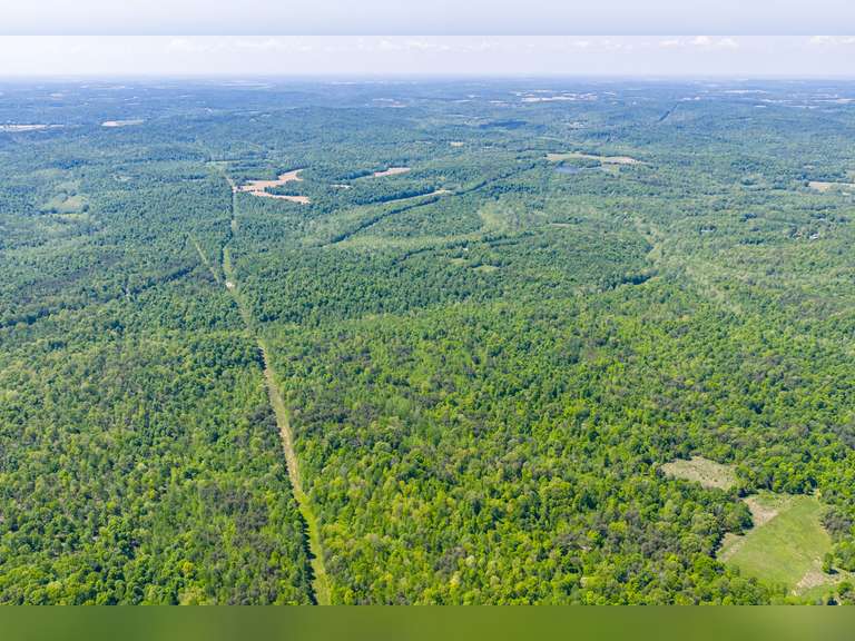 Tract 4: 138.98 Ac