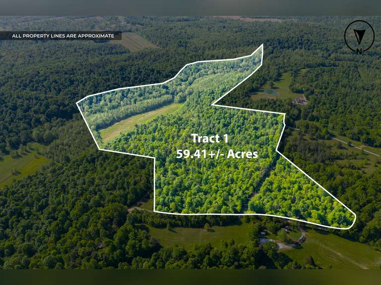Tract 1: 59.41 Ac