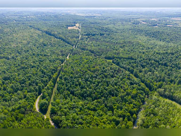 Tract 3: 40.69 Ac