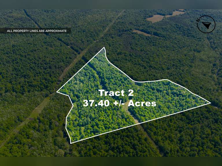 Tract 2: 37.40 Ac
