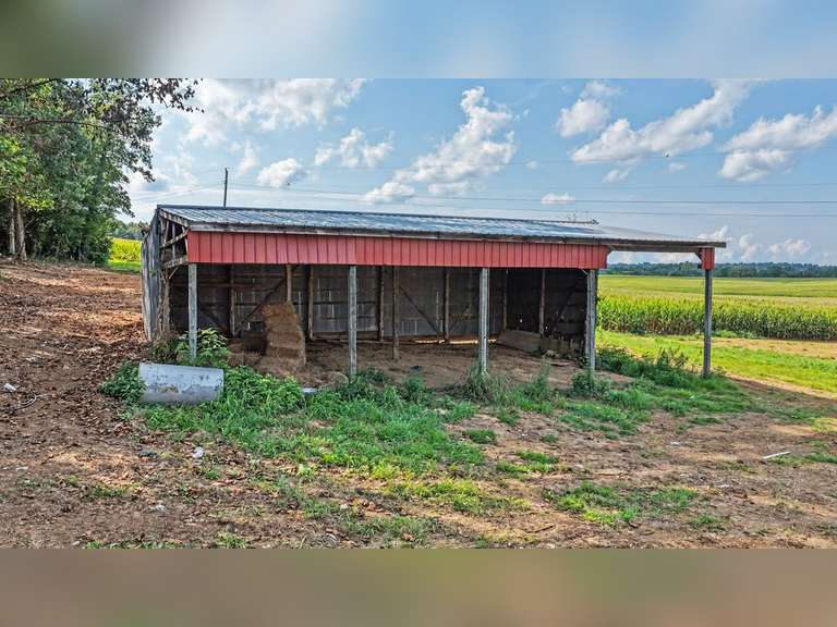 Tract 4: 1.28+/- Ac