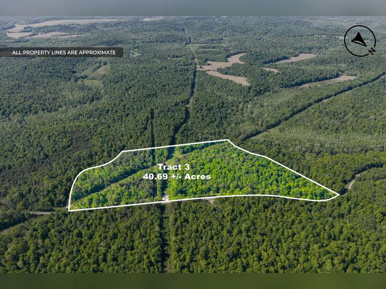 Tract 3: 40.69 Ac