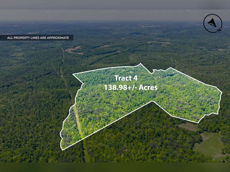 Tract 4: 138.98 Ac