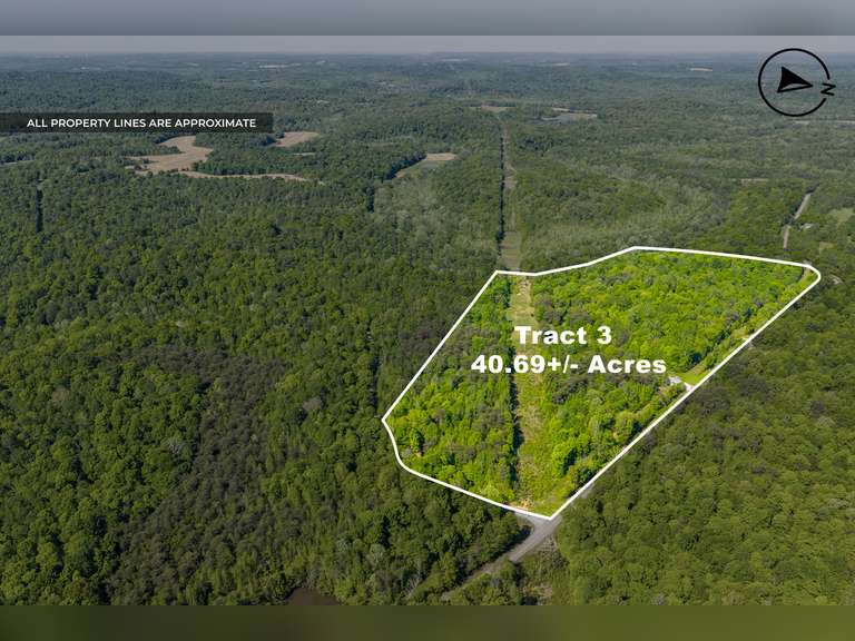 Tract 3: 40.69 Ac